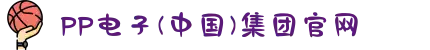 PP电子(中国)集团官网